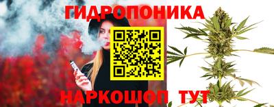 прущие грибы Наро-Фоминск