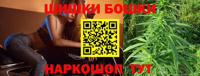гашик Нальчик