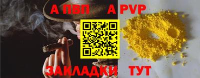 гашик Нальчик