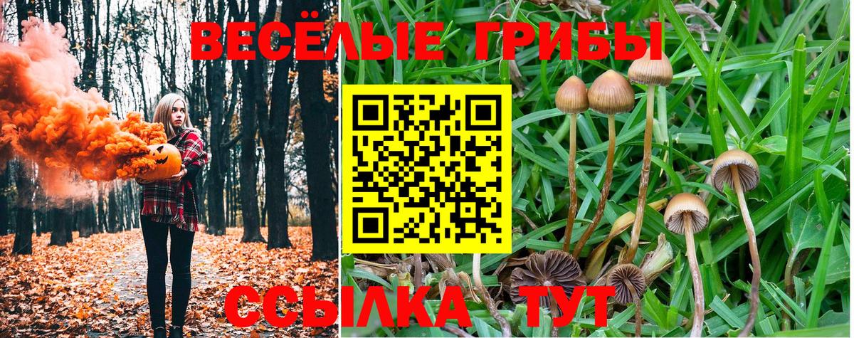 Тобольск  Псилоцибиновые грибы Magic Shrooms  Вход с VPN 